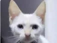 Billy
