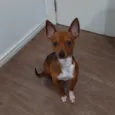 Ricardo