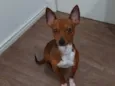 Ricardo