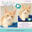 Sukita