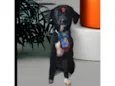 Mini Sloan