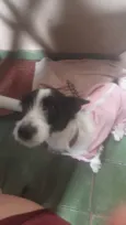 Princesa 
