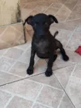 Cadu e Caio 