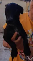 Cadu e Caio