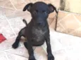 Cadu e Caio 