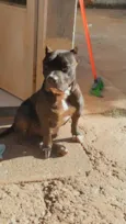 Barão 