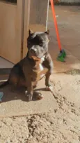 Barão