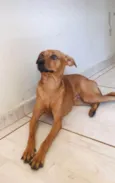 Mel