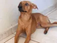 Mel