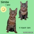 Simba