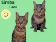 Simba