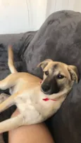 Lili