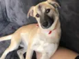 Lili