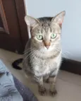 MALÍA