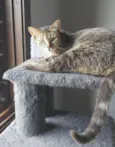 MALÍA