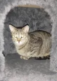 MALÍA