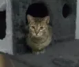 MALÍA