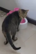 MALÍA