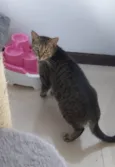 MALÍA