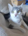 ZOE