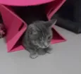 LUKA