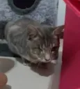 LUKA