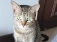 MALÍA