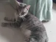 LUKA