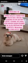 GRATIFICA - Zara
