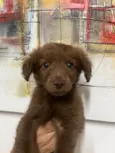 Marco