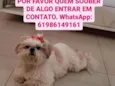GRATIFICA - Zara