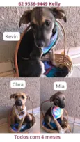 Kevin, Mia e Clara