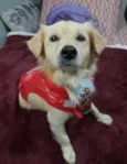 Woody
