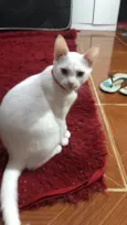 Esmeralda