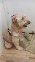 Hana