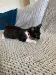 Mia