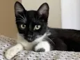 Mia