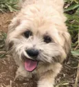 Bob 