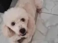 Fred