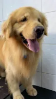 Jake