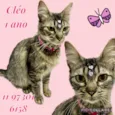 Cléo