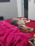 Mufasa