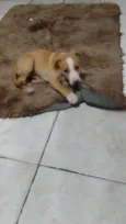 Bob