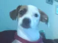 Beatriz