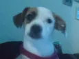 Beatriz