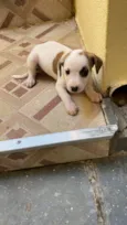 Polar