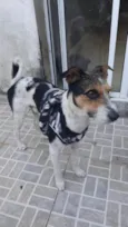 Bob