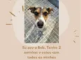 Bob