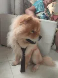 Bob