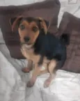 Milly